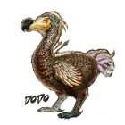 Animales Extintos