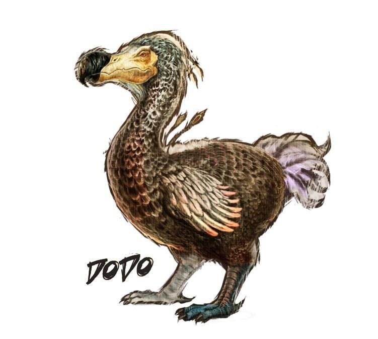 Animales Extintos