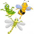 Insectos de Granja