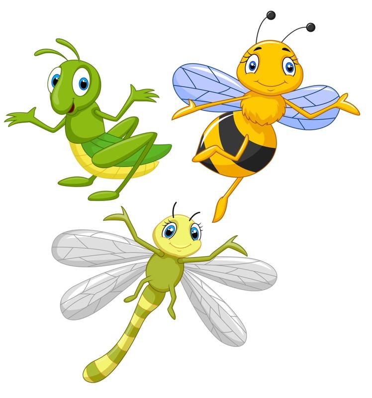 Insectos de Granja